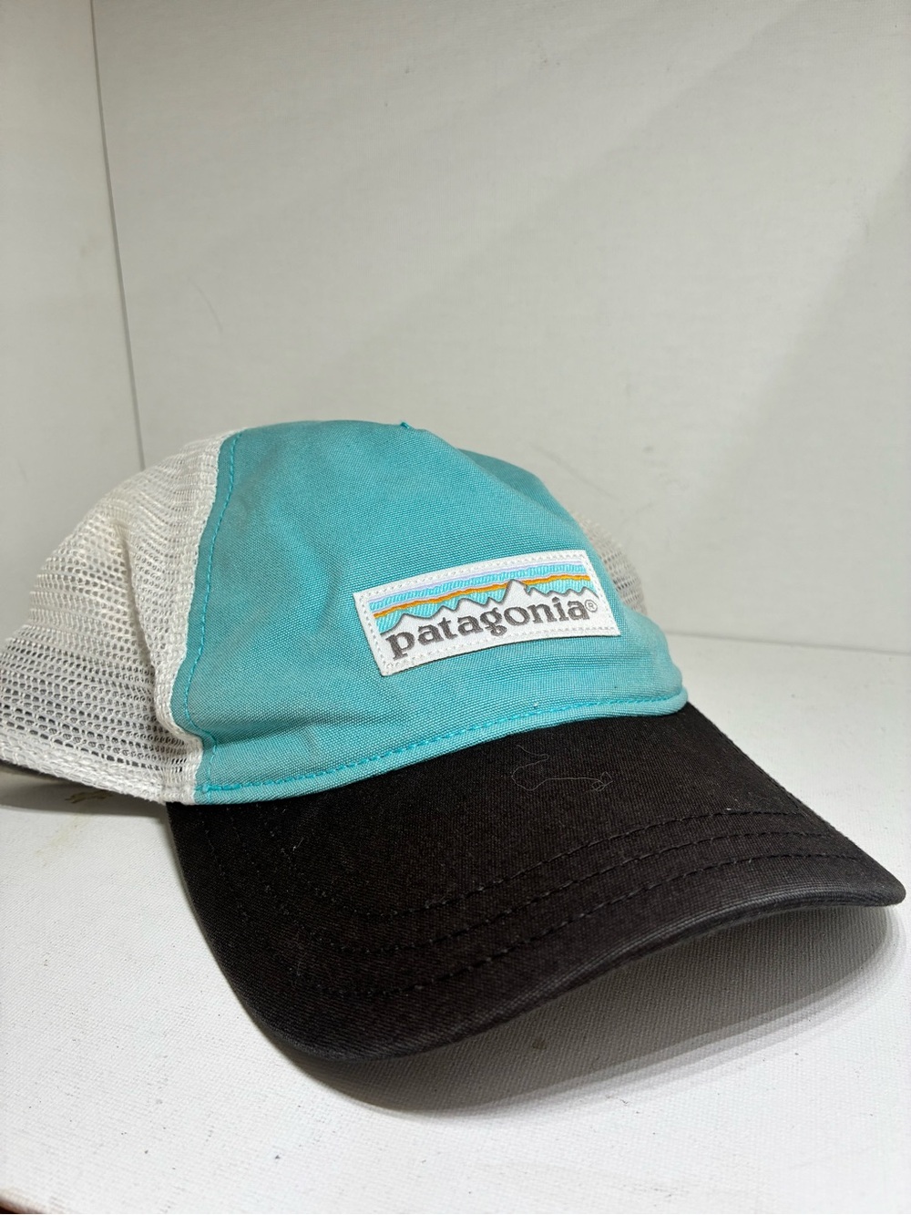 Patagonia Aqua Front Panel Trucker Hat with Black Bill